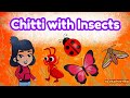 Insects for Kids | Insects Names in English and Telugu | Learn Insects with Questions | Slokamithra