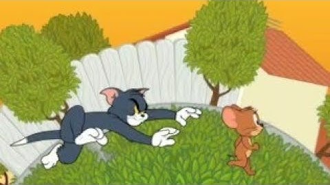 Tom & Jerry - Mouse Maze fun game