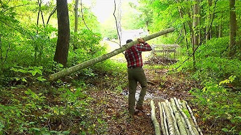 Bushcraft Fence Built Out Of Trees (Part 1)