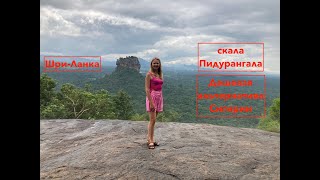 Шри-Ланка. Скала Пидурангала - шикарный вид на Сигирию. Дешевая альтернатива Сигирии.