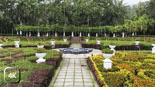 Walking in NonStop Super Heavy Rain at a Beautiful Botanical Garden | Rain Sounds for Sleep & Study