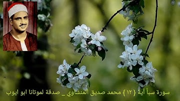 ولسليمان الريح غدوها شهر ورواحها شهر وأسلنا له عين القطر _ سورة سبأ آية { ١٢ } المنشاوي