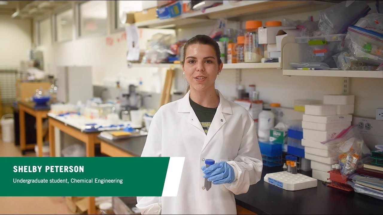 USF Campus Food Waste Recovery Project | PART 2 - YouTube
