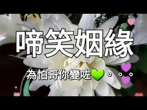 啼笑姻緣 Thai Siu Yan Yuin 香港粤語經典金曲 作曲: 顧嘉輝 作詞: 葉紹德作品 原唱: 仙杜拉