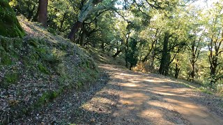 Los Alcornocales. De Gaucín a Jimena de la Frontera.