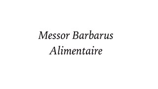 Guide d'élevage Messor Barbarus Partie 3 ( Alimentaire )