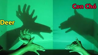 Độc đáo tạo bóng con vật bằng tay dưới ánh đèn - Make shadowing images by hands