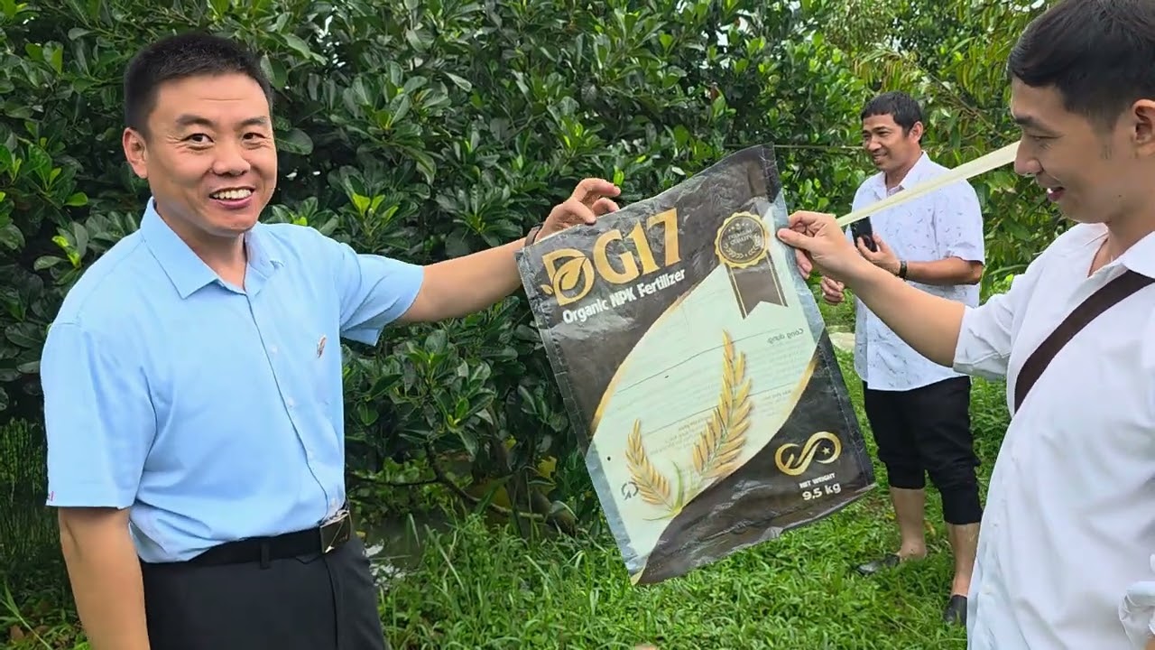 Nhà Máy Phân G17 Qua Việt Nam Thăm Qua Vườn Mít Trái Chà Bá.Lh:0949777827 gặp Vĩnh.