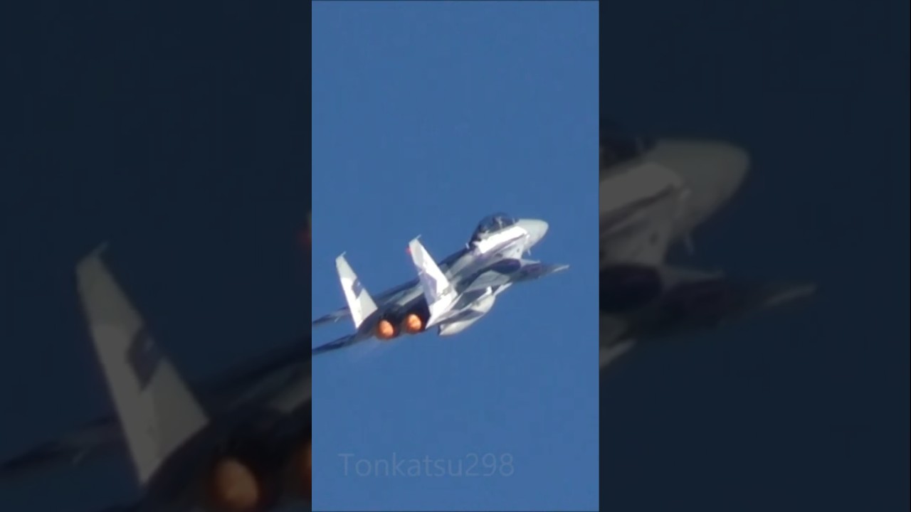 みんな大好きアグレッサー】F-15DJ ものすごく高度が低く感じた2015年