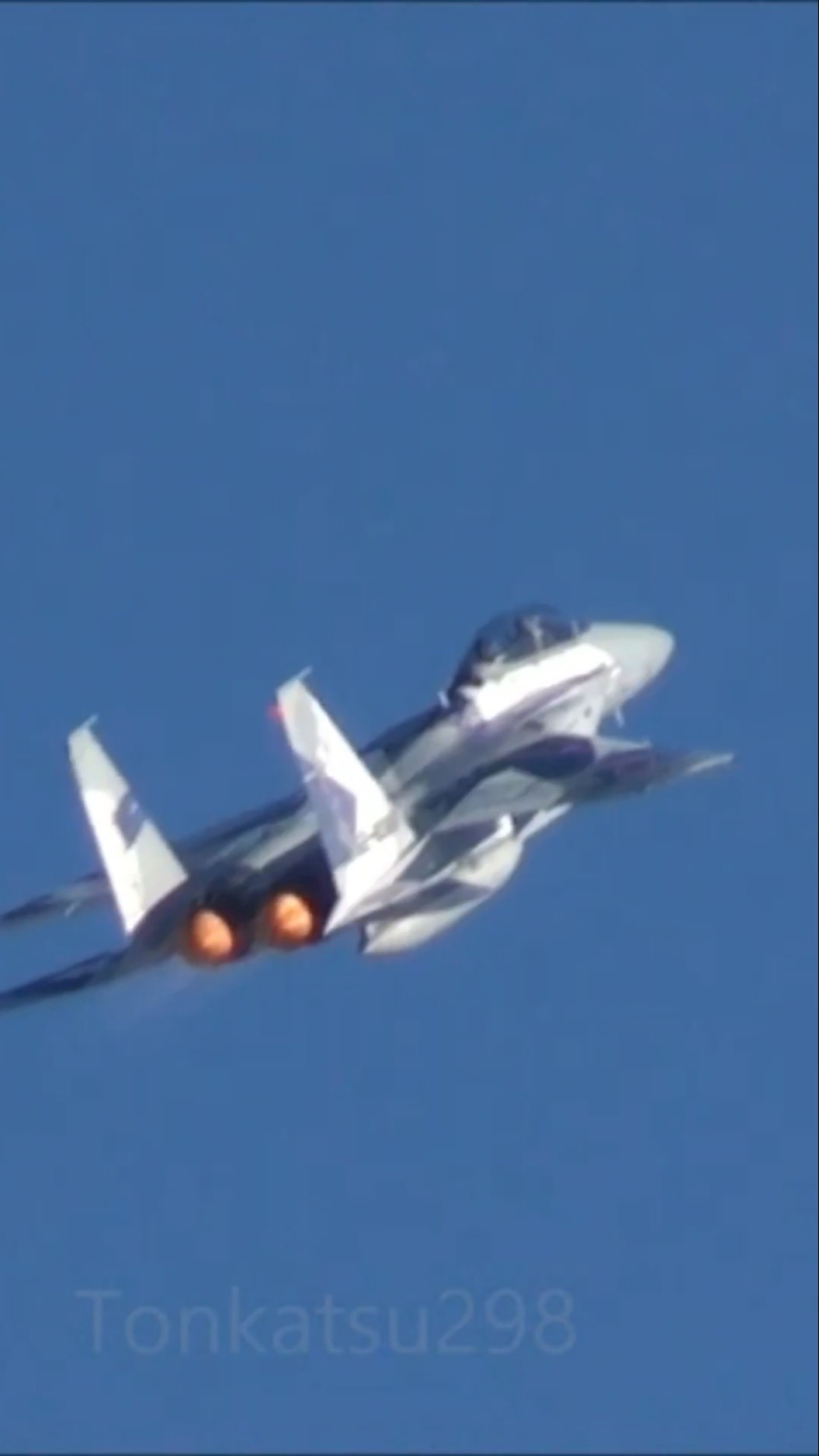 みんな大好きアグレッサー】F-15DJ ものすごく高度が低く感じた2015年