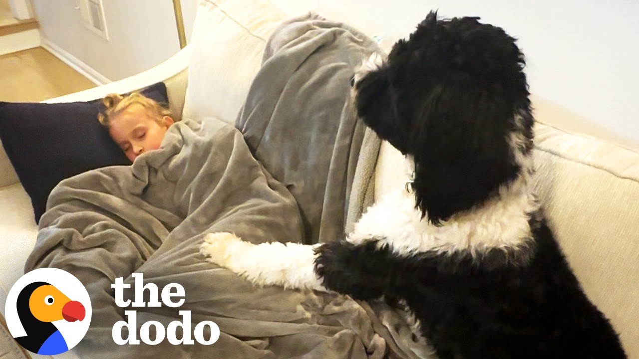 This Dog Doesn't Just Keep Her Safe, He's Her Best Friend | The