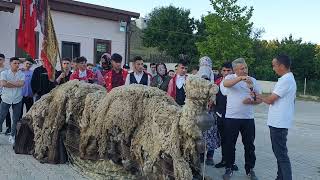 Deve geleneği röportajı Dedeler KÖYÜ Resimi