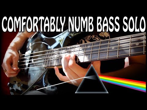 comfortably-numb-solo-on-bass!