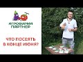 ЧТО ПОСЕЯТЬ В КОНЦЕ ИЮНЯ?