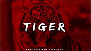 Aggressive Fast Flow Trap Rap Beat Instrumental ''TIGER'' Hard Angry Indian Sample Type Hype Trap Resimi