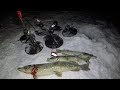 Ловили НАЛИМА, а поймали ЩУКУ / Caught BURBOT, and caught PIKE