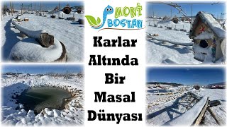 Monibostan Ekolojik Çocuk Kampüsü’nde Kışın Büyüleyici Sessizliği Karlar Altında Bir Masal Dünyası