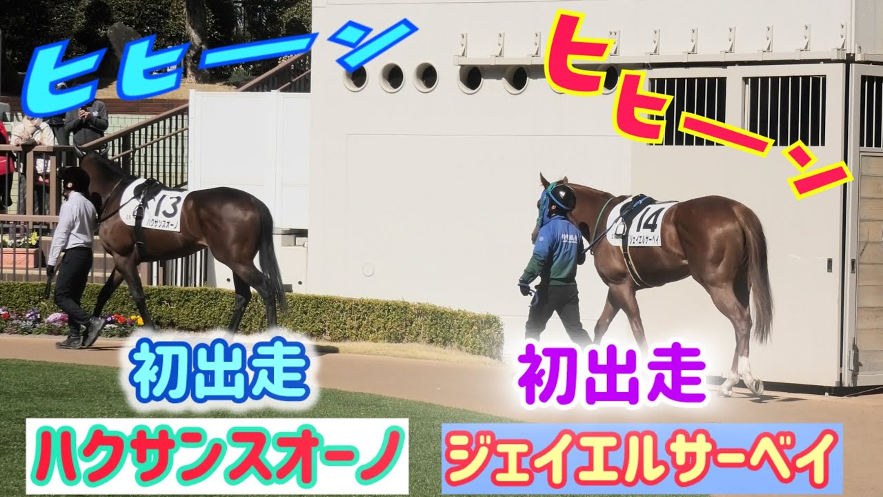 ふたりで大合唱を始めちゃうハクサンスオーノとジェイエルサーベイ