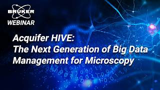 Acquifer HIVE for Faster and More Secure Big Data Management | Bruker Webinar