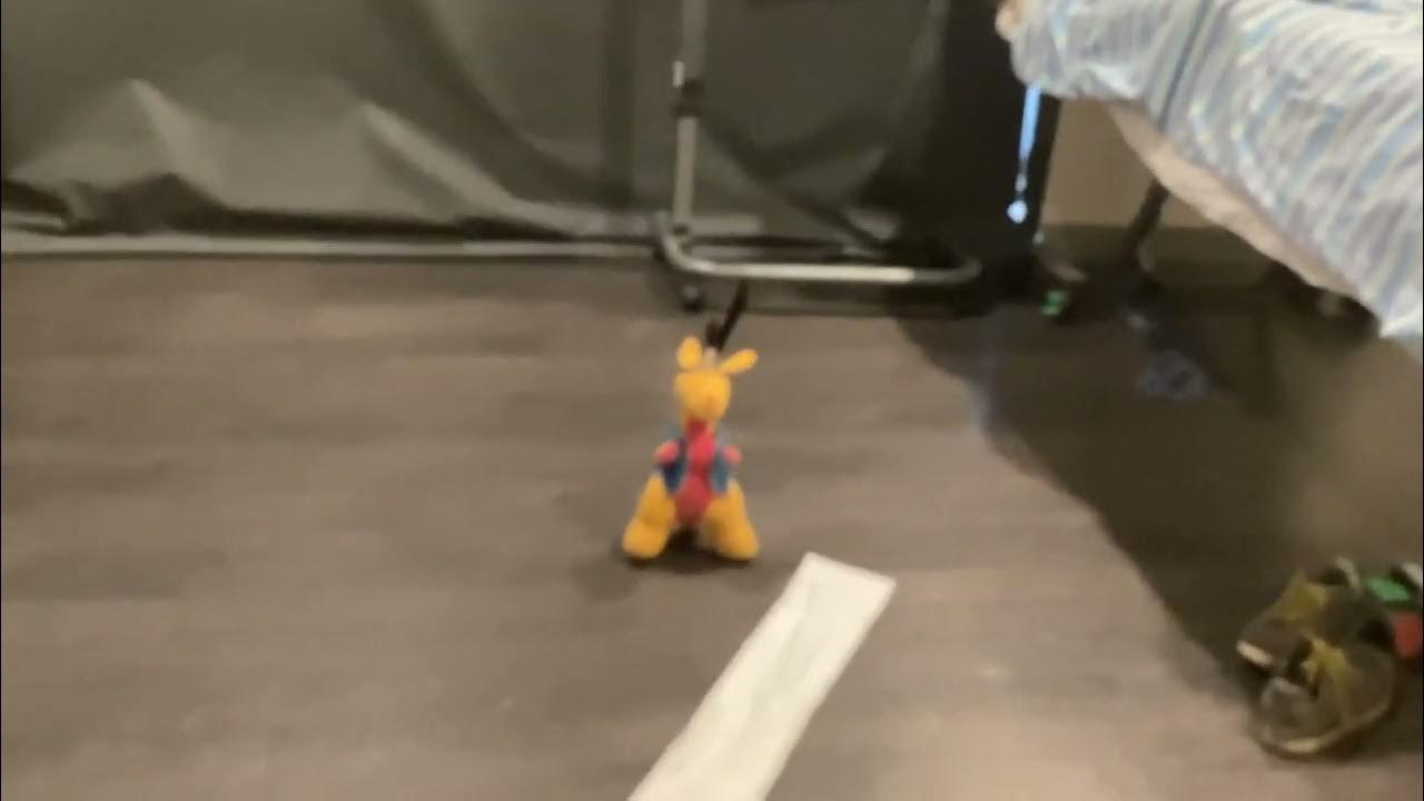 Up to your nuts in guts!!! YouTube