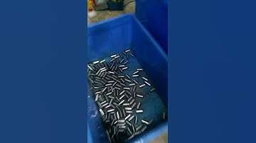 Double Head Automatic Loading And Unloading Chamfering Machine