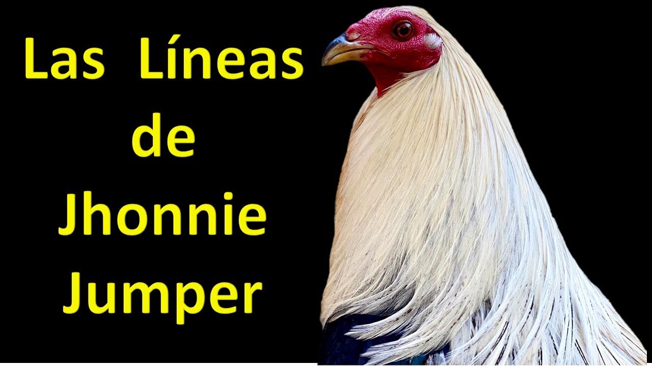 Las Líneas de Jhonnie Jumper