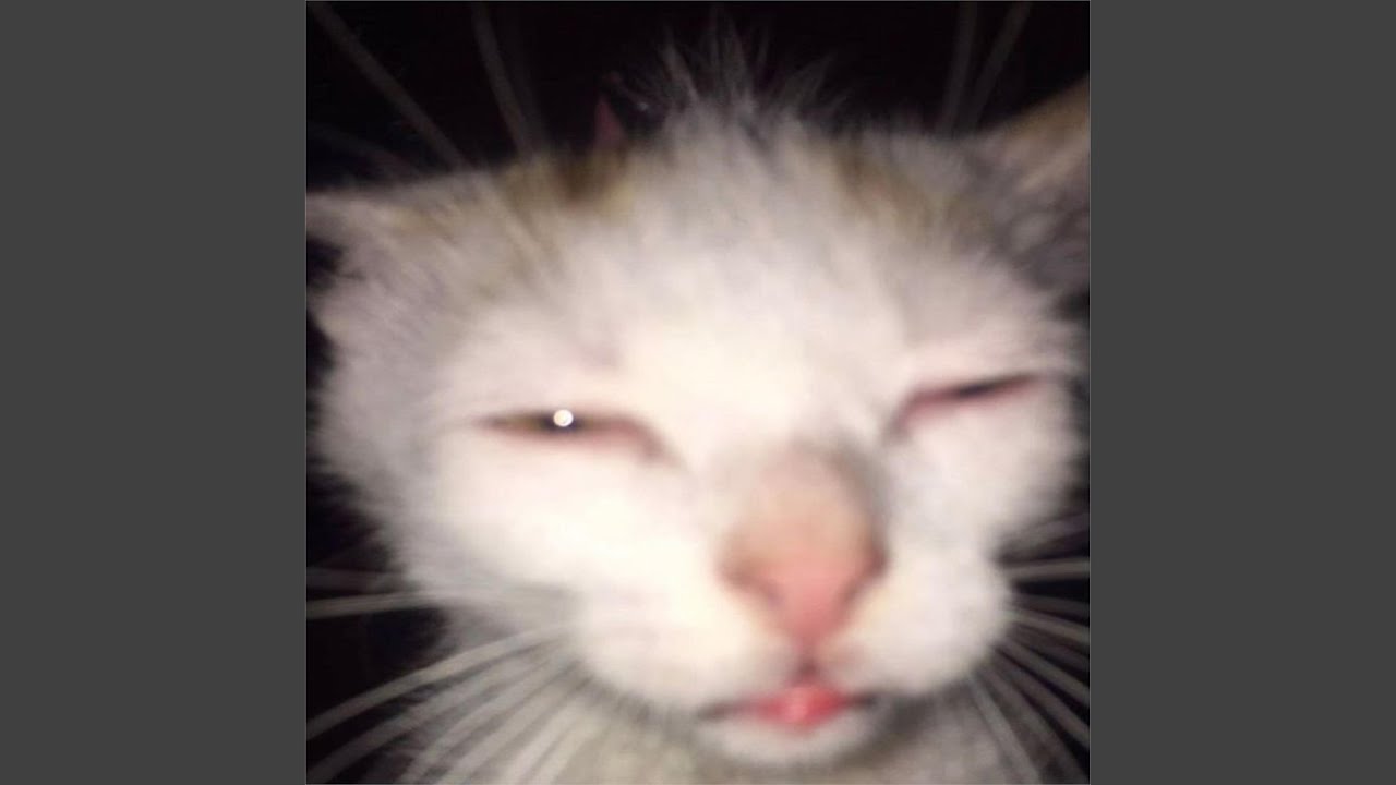 Watch tired on YouTube Watch tired on YouTube