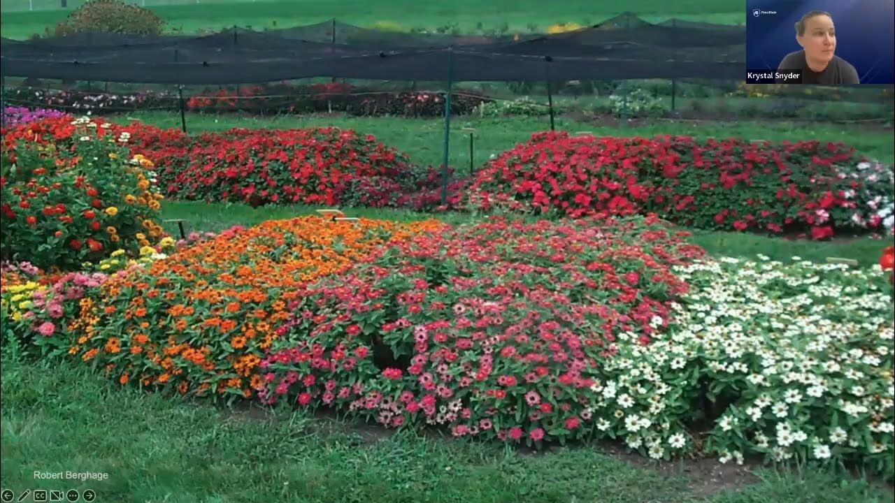 Penn State Flower Trials 2023 YouTube