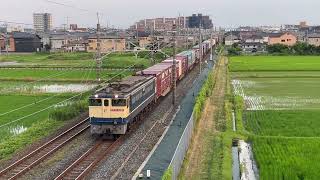 EF652092のひく貨物列車4073レ 、再び