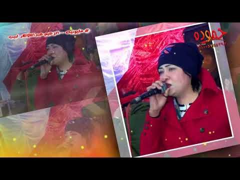 حميد ونهلة  مليونيه الزعيم عبد الظاهر لبيب  ميت الكرما