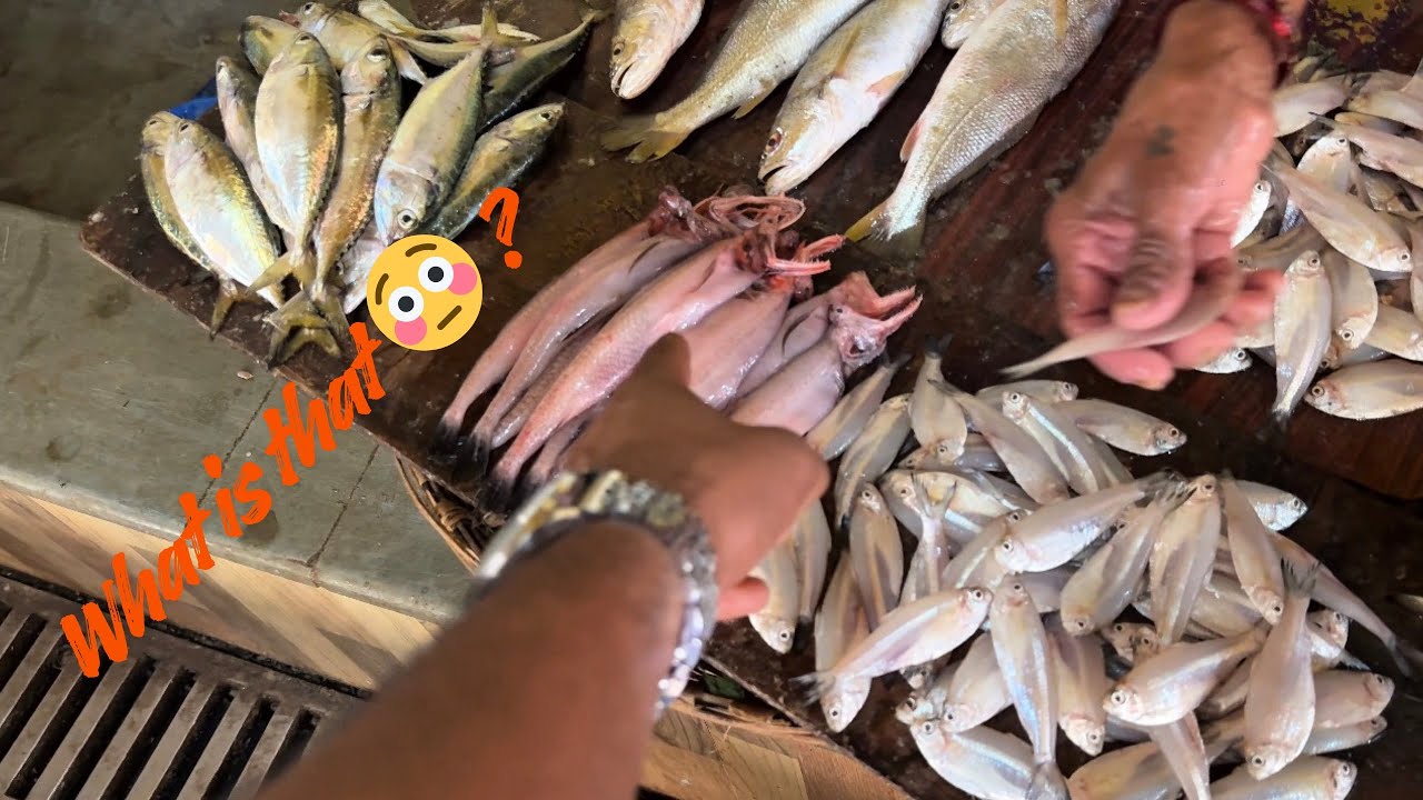 Goa Fish Market Is Another Level || It’s All Moving! 😳..