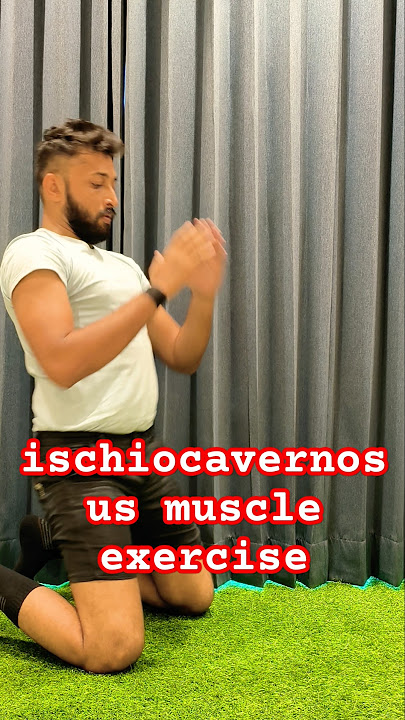 ischiocavernosus muscle exercise