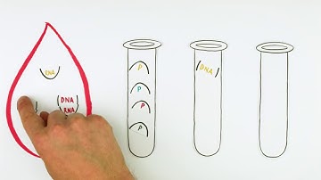 Spark Tech Biobanking System (STBS)