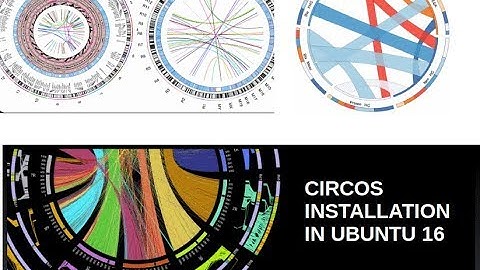 Circos - circular chord diagram software installation - ubuntu