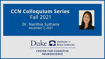 Medial temporal dynamics underlying spatial navigation in freely moving humans