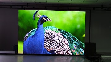 Chipshow C-Pad P1.2 HD Indoor aging video