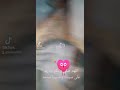 مدح الرسول صلى الله عليه وسلم موريتانيا 