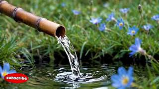 1 Hour of 528Hz Ambient Water Sound Healing Therapy