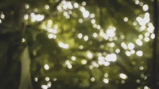 Mobile photography - Bokeh effect without using any apps or PRO mode screenshot 3