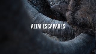 Altai Escapades | Hunting Maral Stag and Altai Ibex in Mongolia