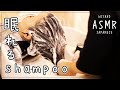 【ASMR】現役美容師によるシャンプーで睡眠誘導＊タオル＊ミスト＊ドライヤー＊【声なし/No talking】【睡眠】