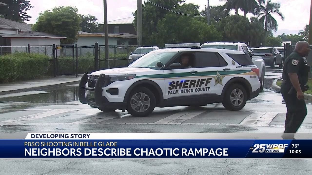 Court records detail terrifying attacks by man later shot by PBSO ...