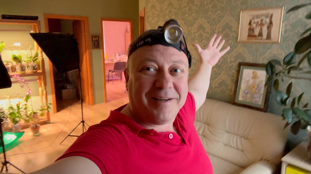 все в ШОКЕ и НЕ верят что ОН так вырос как на ДРОЖЖАХ за 12 дней: мои цветы вне орхидей