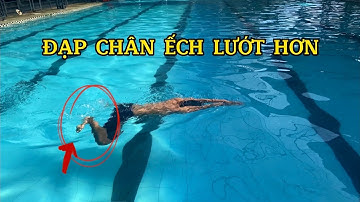 Bơi ếch | Những điểm cần chú ý khi tập kỹ thuật chân ếch