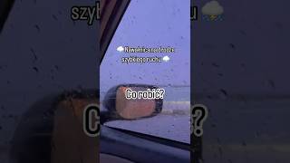 Nawanica Na Drodze Szybkiego Ruchu  Co Robi