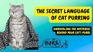 The Secret Language of Cat Purring