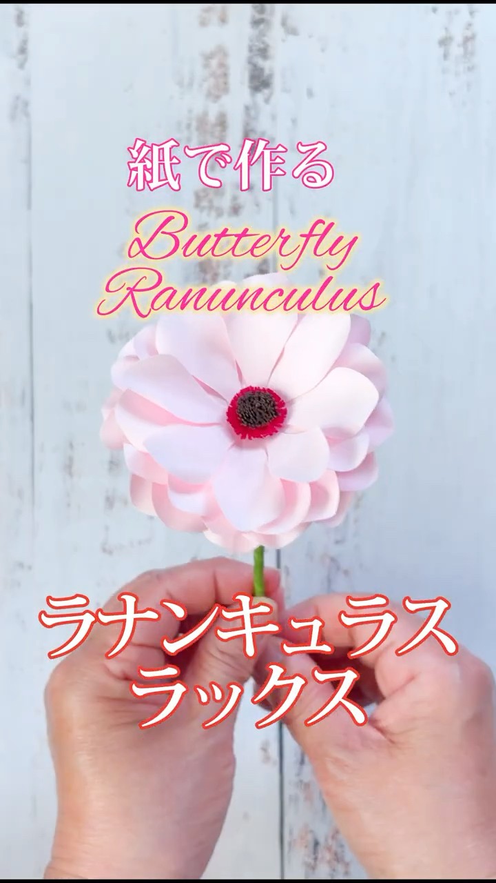 Paper Flower] Making Ranunculus Lux out of paper #PaperFlowers