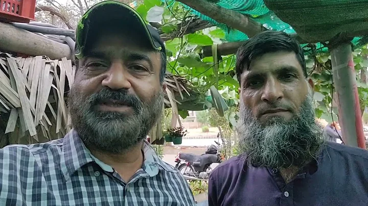 Secret Houseplant Care Tips From a Master Houseplant Grower |tour care, unique houseplant collection