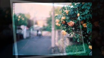 Chàng chăn cừu cũng đã đi xa