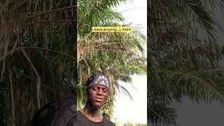 Sometimes I feel like changing the 🌎 🚶🏿 #motivation #viral @tiwasavage ​⁠ @OlamideBaddosneh